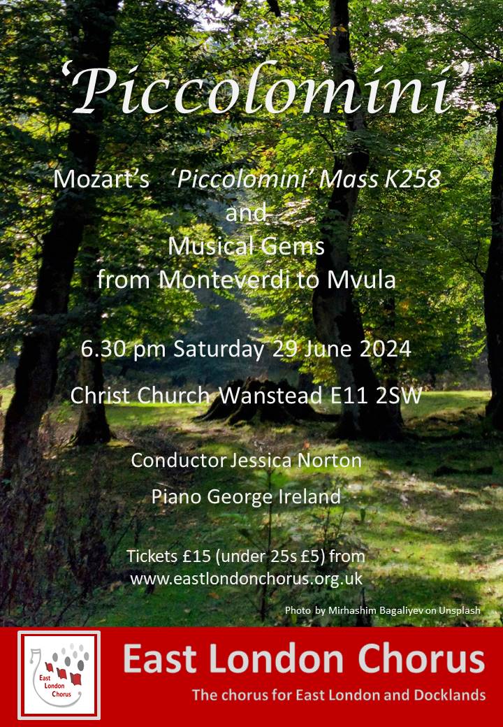 Summer Concert: 'Piccolomini'